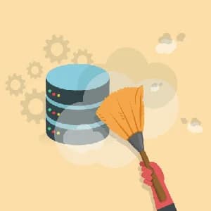 پاک کردن دیتابیس وردپرس