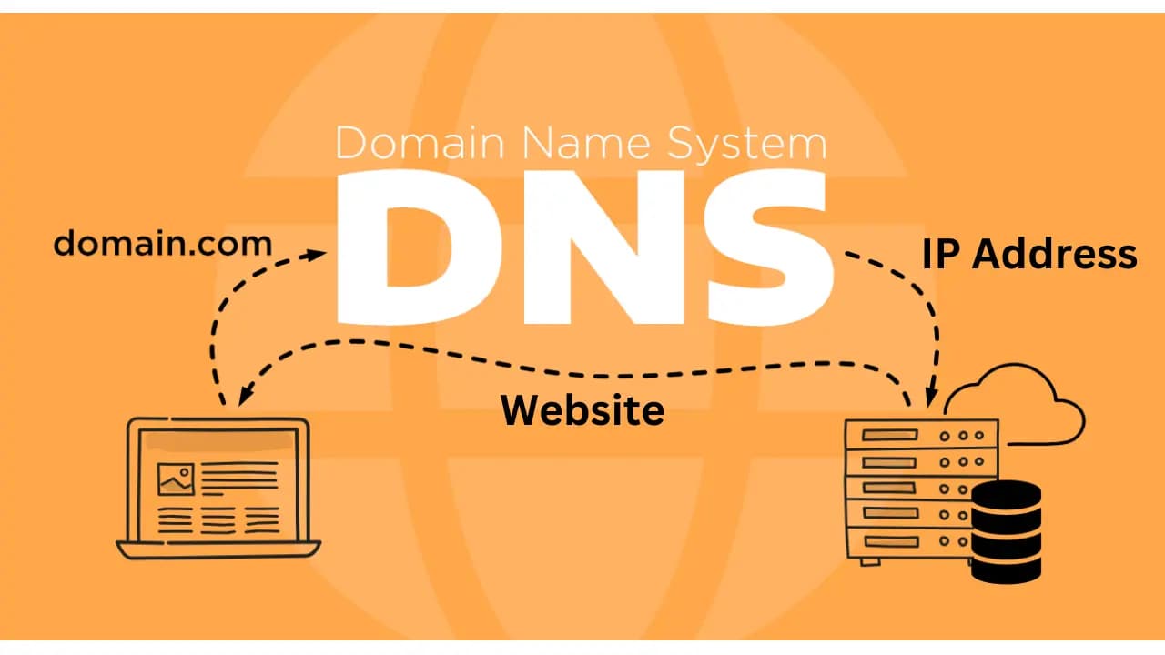 dns