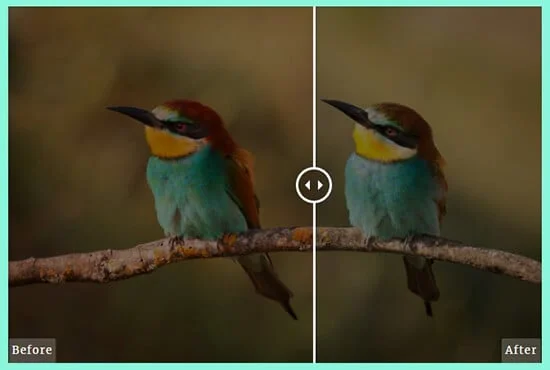 نمایش تصویر قبل و بعد در وردپرس