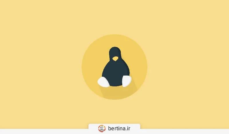 هاست لینوکس چیست؟ راهنمای جامع میزبانی لینوکس
